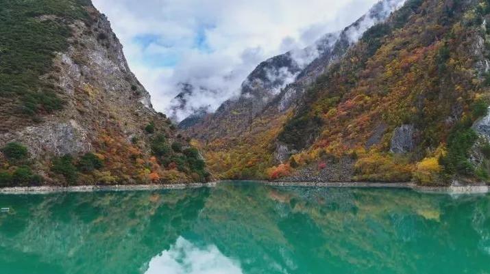 虫虫助手下载
